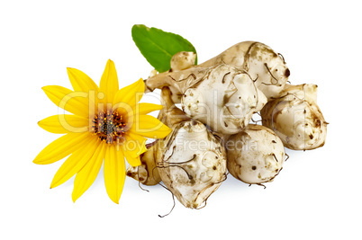 Jerusalem artichokes with yellow flower