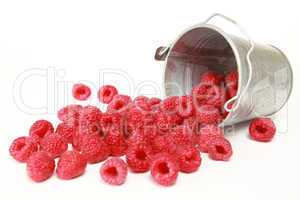 Frische Himbeeren