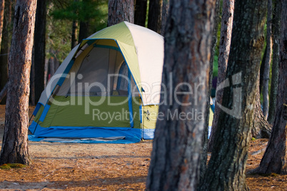 Tent Camping in the Woods