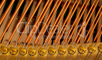 Piano strings in macro
