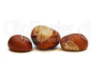 Chestnut fruit