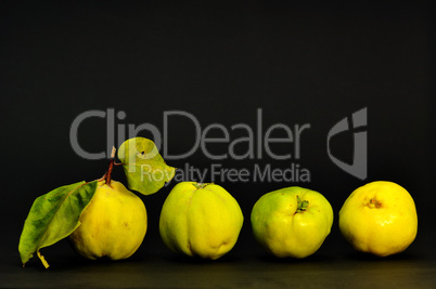 Quince fruit