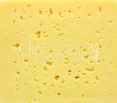 Background of fresh yellow Swiss cheese with holes