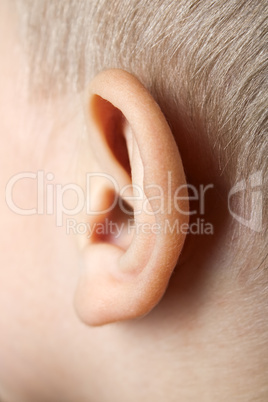 Ear macro
