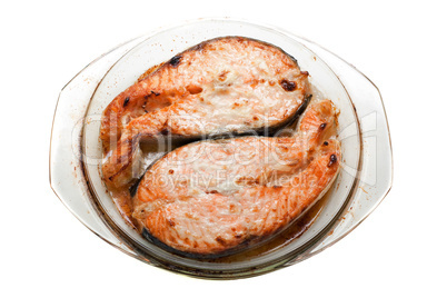 Salmon fish