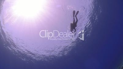 Underwater Silhouette of a Scuba diver at the surface