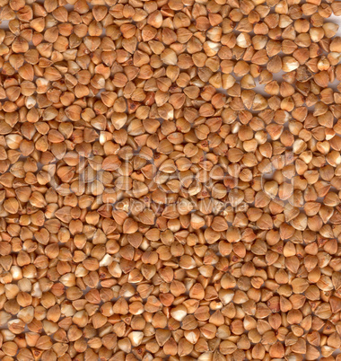 Buckwheat texture