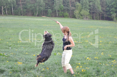 junge frau spielt mit hund