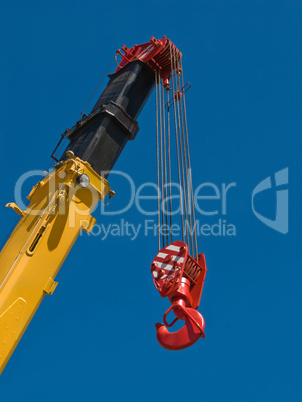 Crane hook