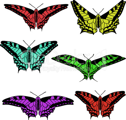 Vector set of beautiful butterflies.