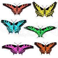 Vector set of beautiful butterflies.