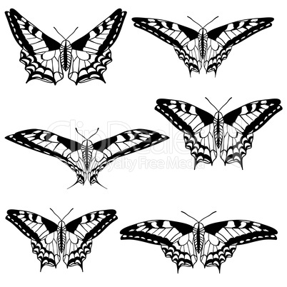 Vector set of beautiful butterflies.