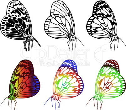 Vector set of beautiful butterflies.