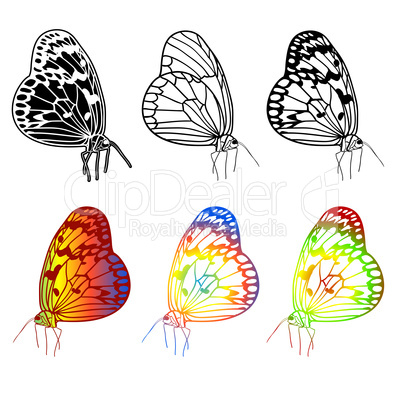 Vector set of beautiful butterflies.