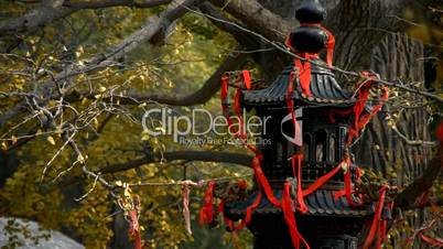 Incense burner and ginkgo tree in wind,monuments,antiques,culture.