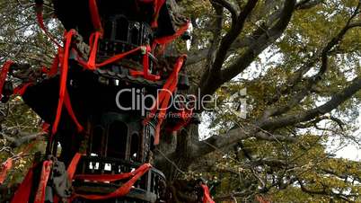 Incense burner and ginkgo tree in wind,monuments,antiques,culture.