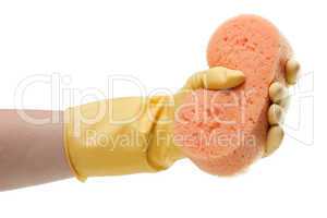 Cleaning glove and sponge