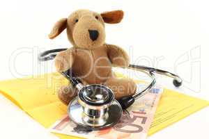 Tierarztkosten