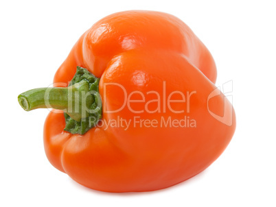 Bell pepper