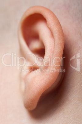 Ear macro