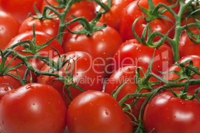 Red tomato food