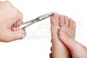 Cutting child toenail