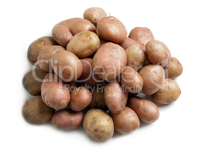 Potato food