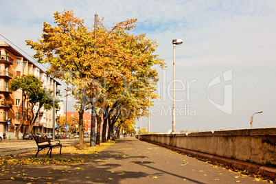 autumn alley