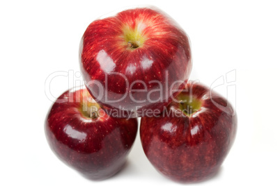 Apple fruit