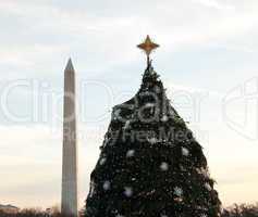 National Christmas tree in DC