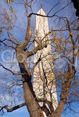 View of Washington Monument