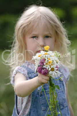 wild flowers