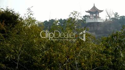 wind shaking bamboo,Pavilion on hill in distance.