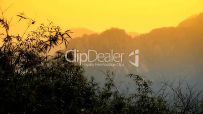 wind shaking bamboo,Mountains,hill,quiet atmosphere in sunshine.