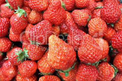 Strawberry fruits