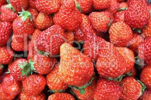 Strawberry fruits