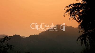 wind shaking Ginkgo tree and bamboo,Mountains,hill.