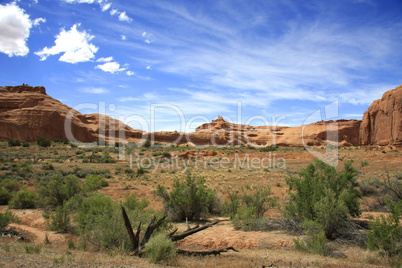 Arches National Park