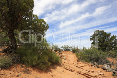 Arches National Park