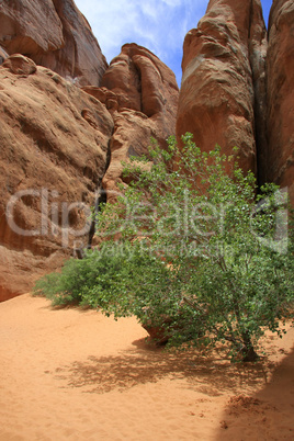 Arches National Park