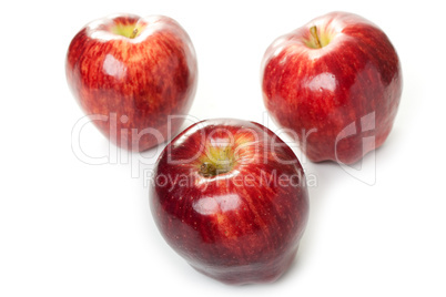 Apple fruit