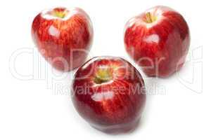 Apple fruit