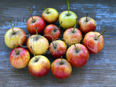 Apple fruit