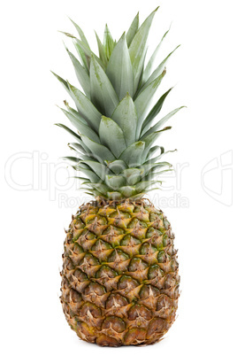 Pineapple fruit