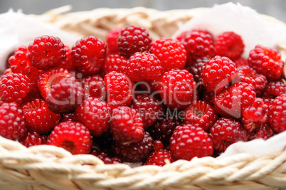 Frische Himbeeren