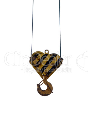 Crane hook