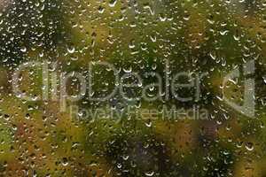 Window rain drops