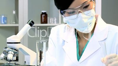 Laboratory Technician Checking Research Results