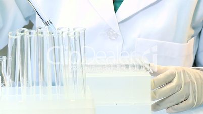 Research Student Working in Hospital Laboratory