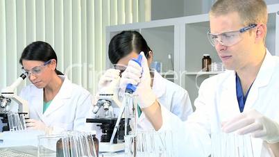 Medical Research Students in Laboratory